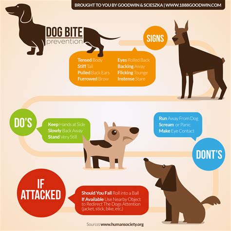 dog biting balls|how to prevent a dog bite.